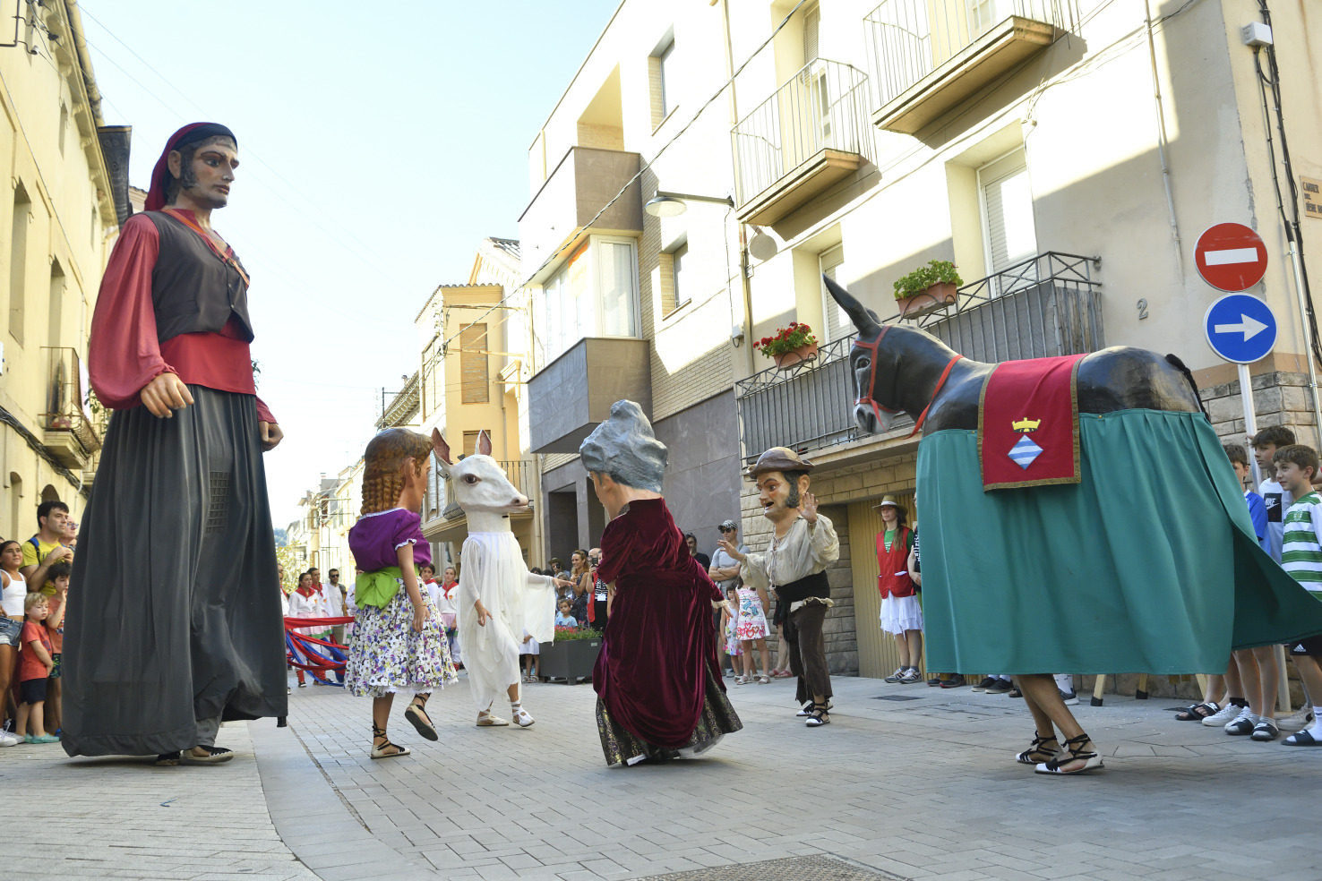 gegants i capgrossos