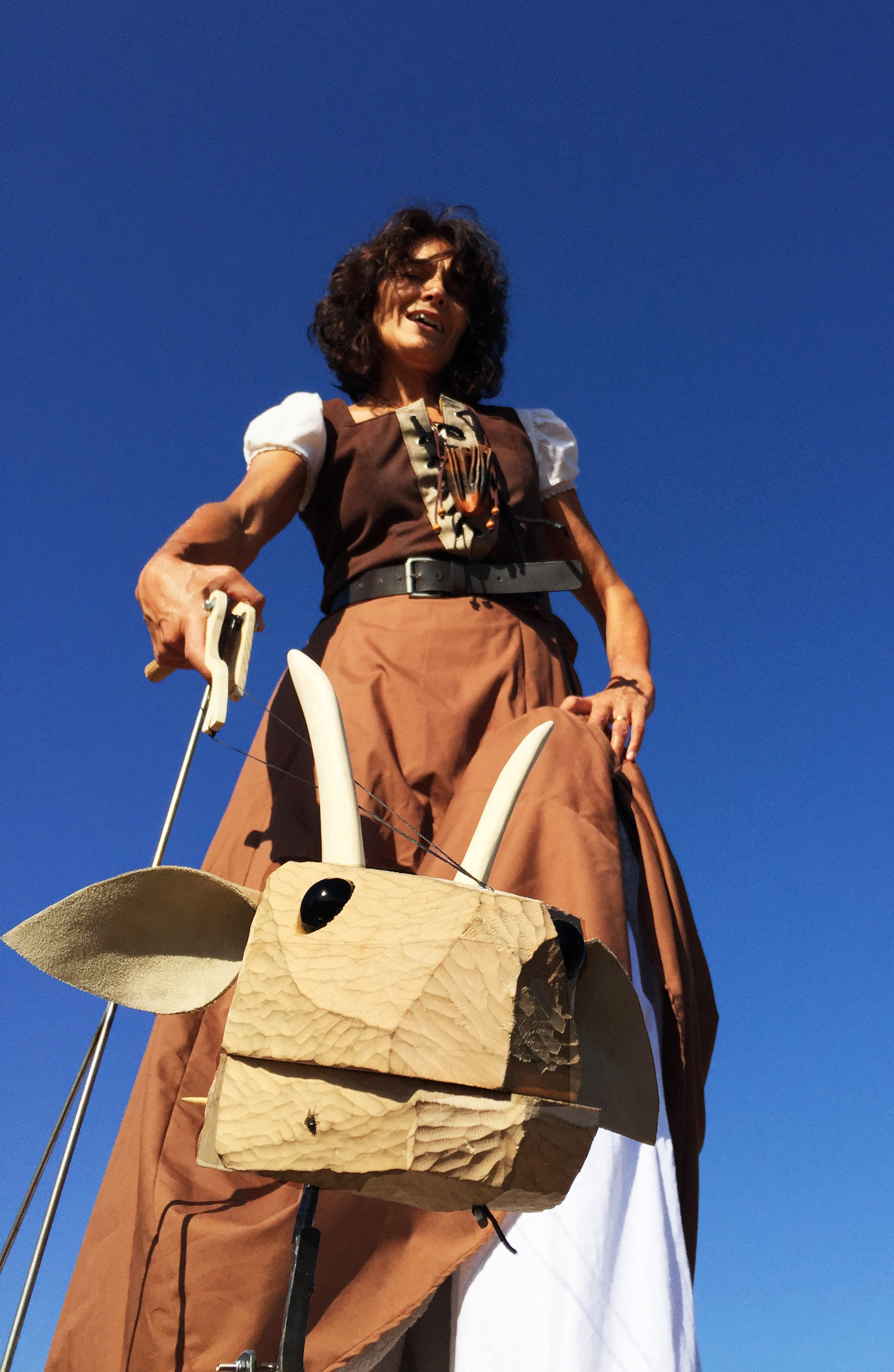 trashumancia  xip xap